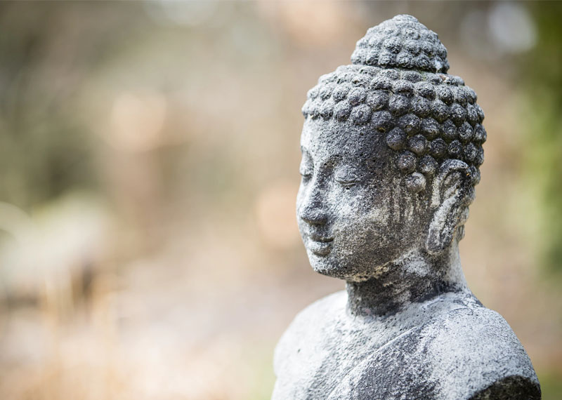 The Wisdom of the Body