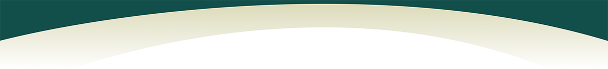 landscape background detail bottom