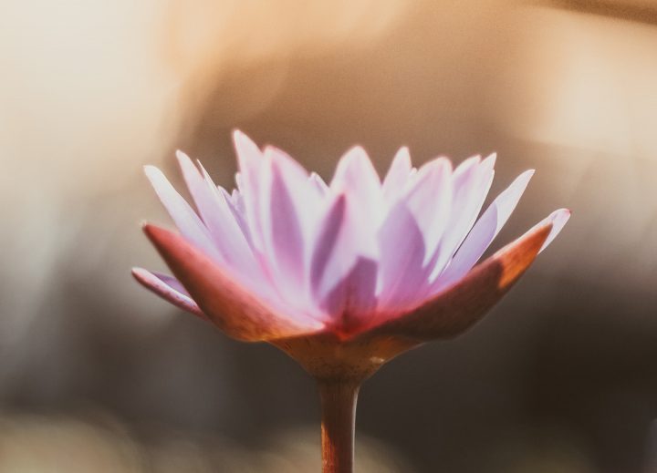 The Bridge To Happiness with Caverly Morgan