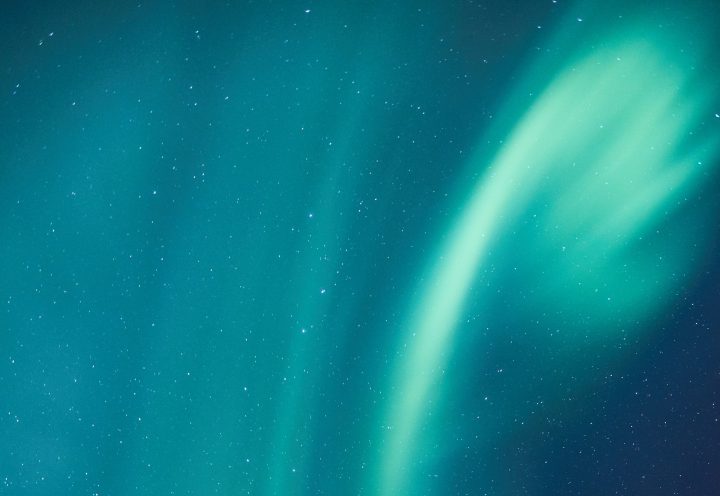 Wide Open and Free with Martin Aylward