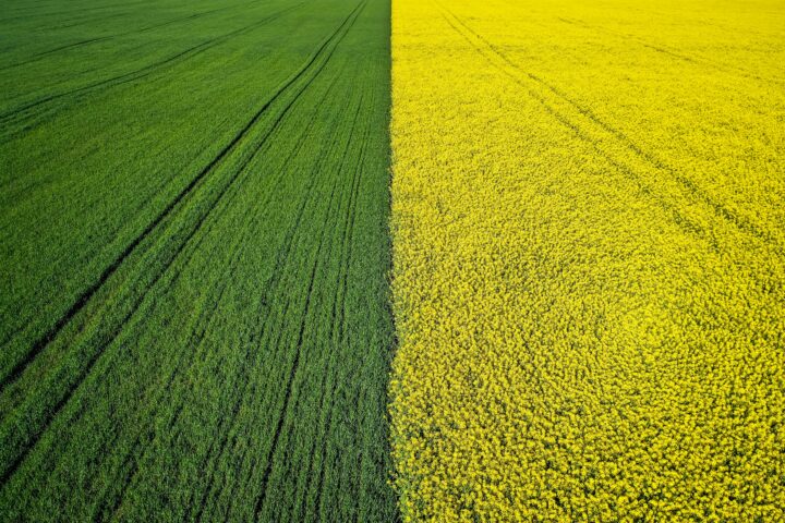 Wide Open and Free with Martin Aylward