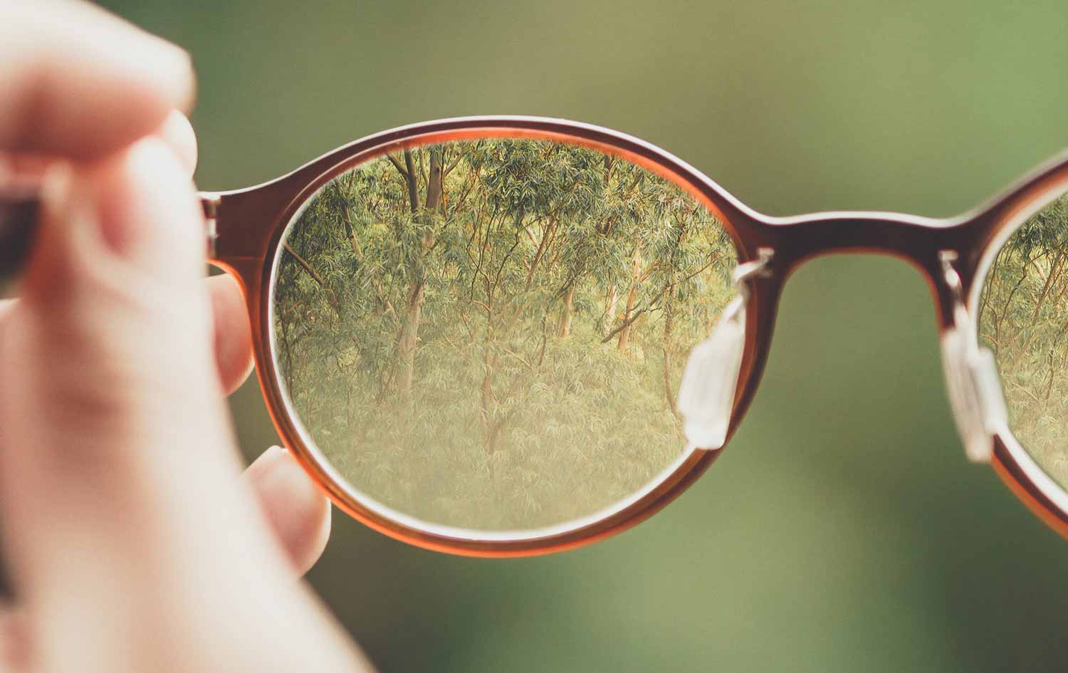 Exploring Consciousness with Martine Batchelor – Contact (phassa)