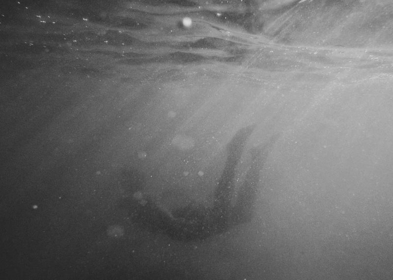 Body In Water Willa Miller