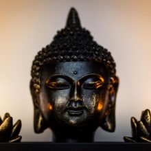 Buddha Dharma Practice