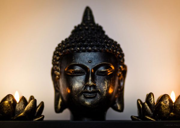 Buddha Dharma Practice