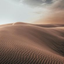 Coping In The Present Moment