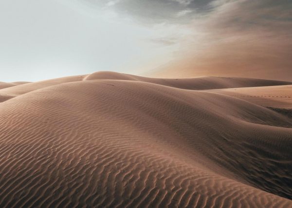 Coping In The Present Moment