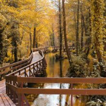 Process Of Transformation