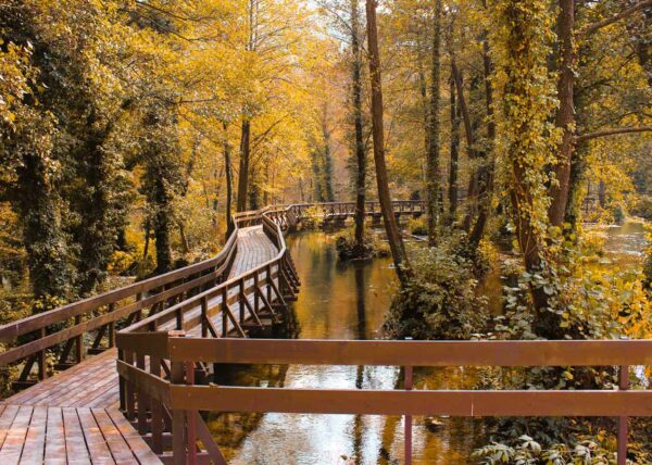 Process Of Transformation