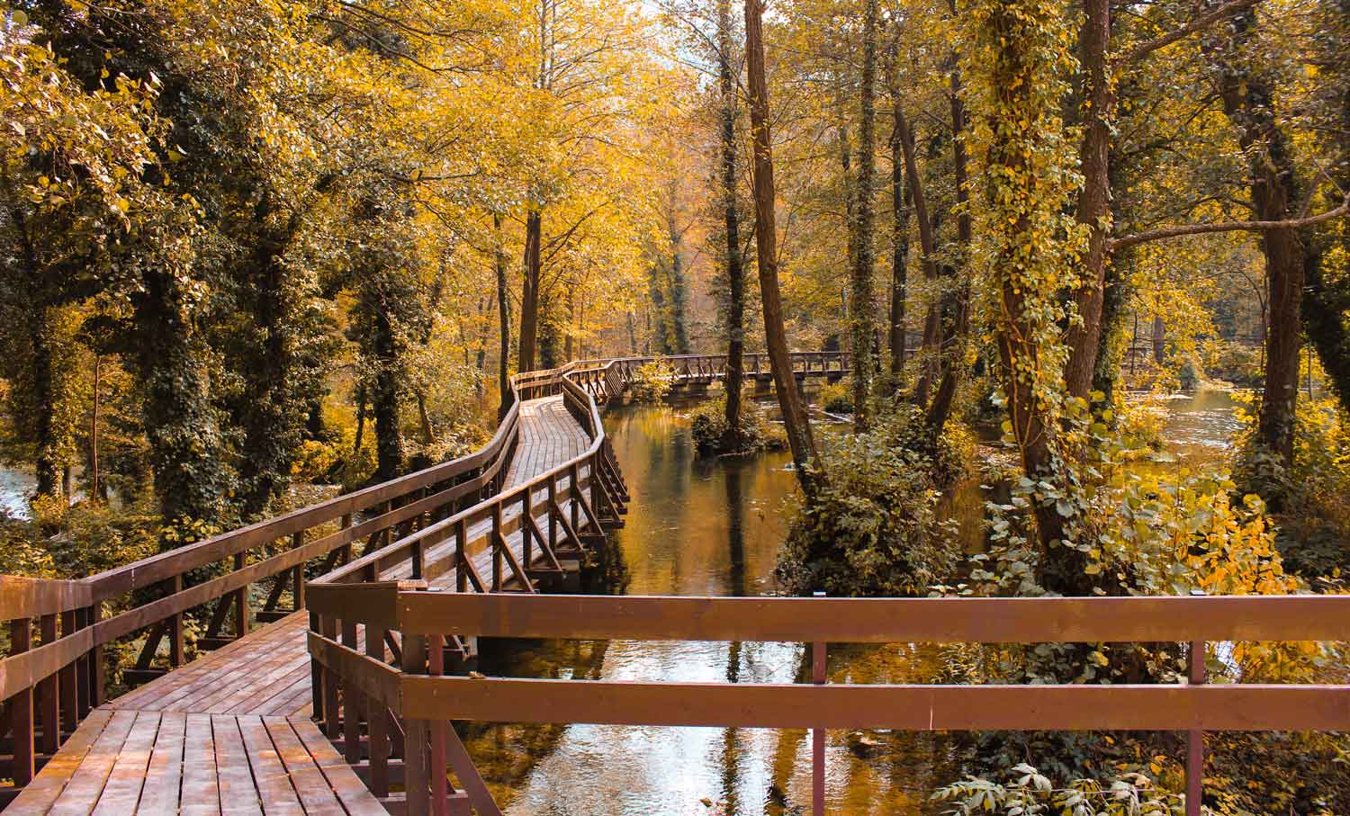 Process Of Transformation