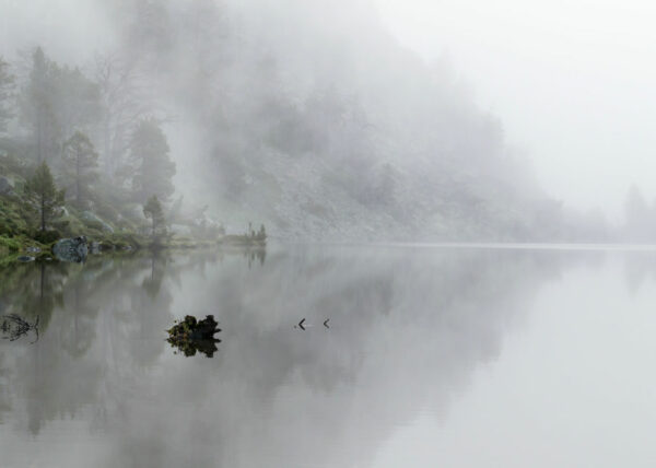 Not Knowing As An Active Practice