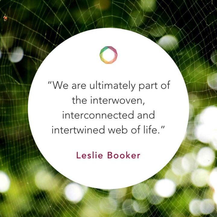 The Paramis as a Practice for Surviving with Leslie Booker