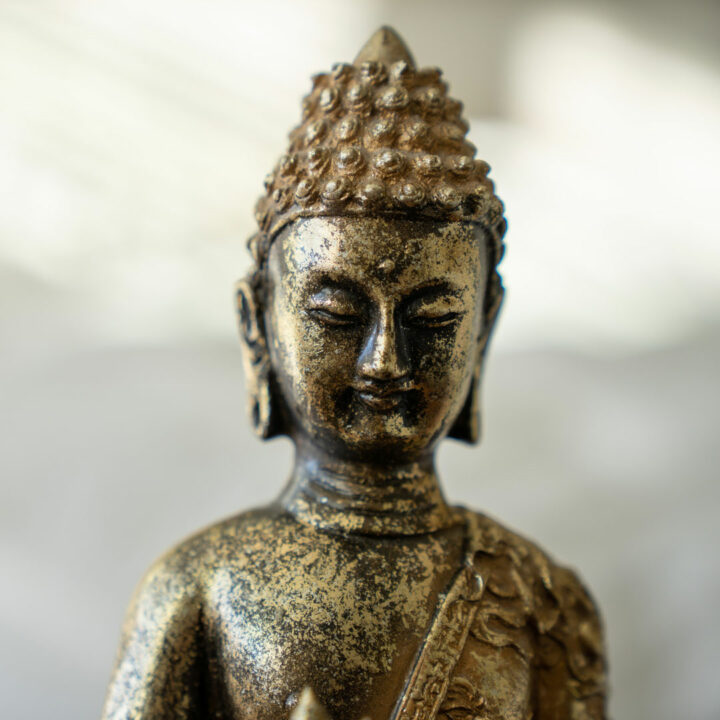 Dharma: Liberation in Everyday Life with Martin Aylward