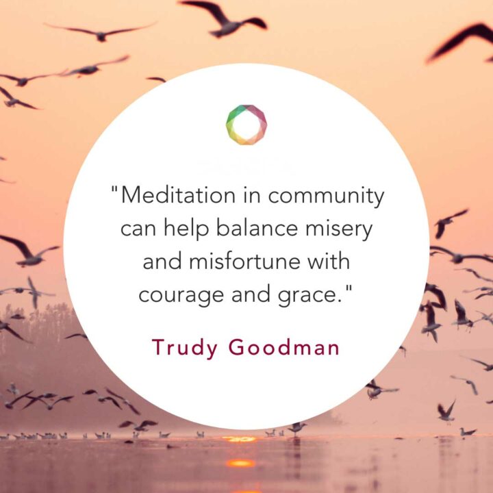 Life Blooms in the Midst of Suffering