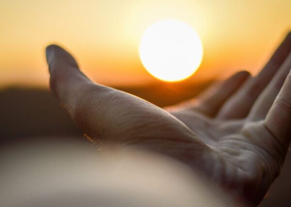 The Body’s Knowledge