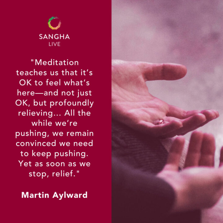 Surrender Your Dharma or Your Life