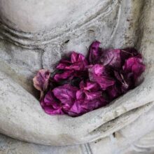 Trauma-Sensitive Meditation