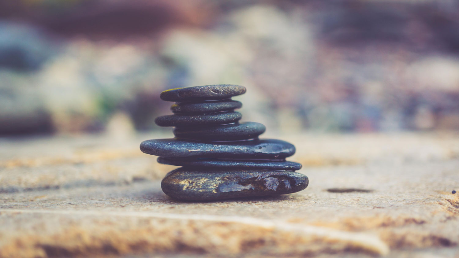 Equanimity Finding Balance in Difficult Times