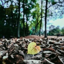 Does Life Offer Something More?