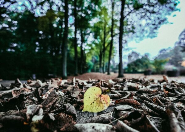 Does Life Offer Something More?