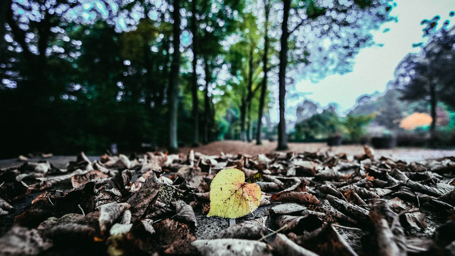 Does Life Offer Something More?