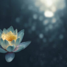 Freedom in Uncertainty