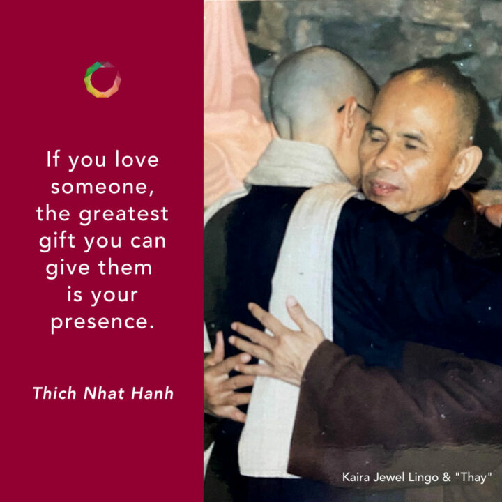 Learning from the Wisdom of Thich Nhat Hanh
