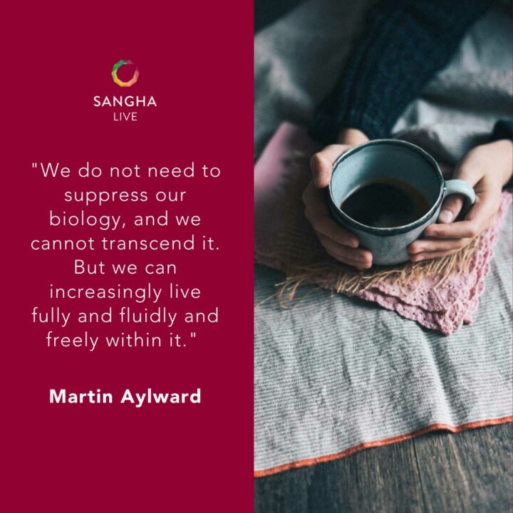 Instructions for a Liberated Life