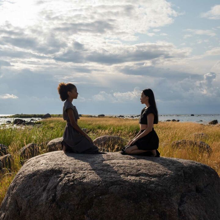 The Paramis as a Practice for Surviving with Leslie Booker