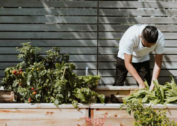 Focus the Mind with Skillful Distraction