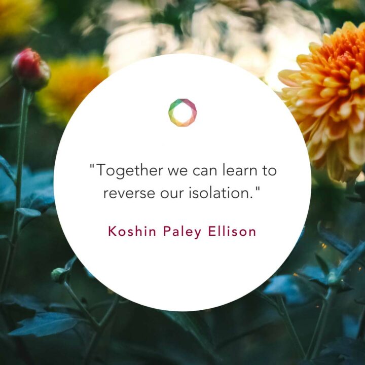 Wholehearted: Cultivating Freshness, Receptivity and Love - Sensei Koshin Paley Ellison