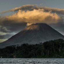 Cultivating Equanimity