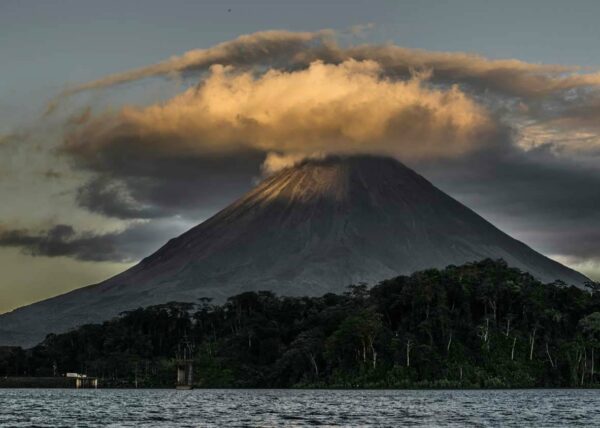 Cultivating Equanimity