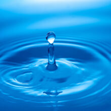 Connecting with the body