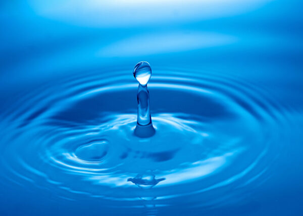 Connecting with the body