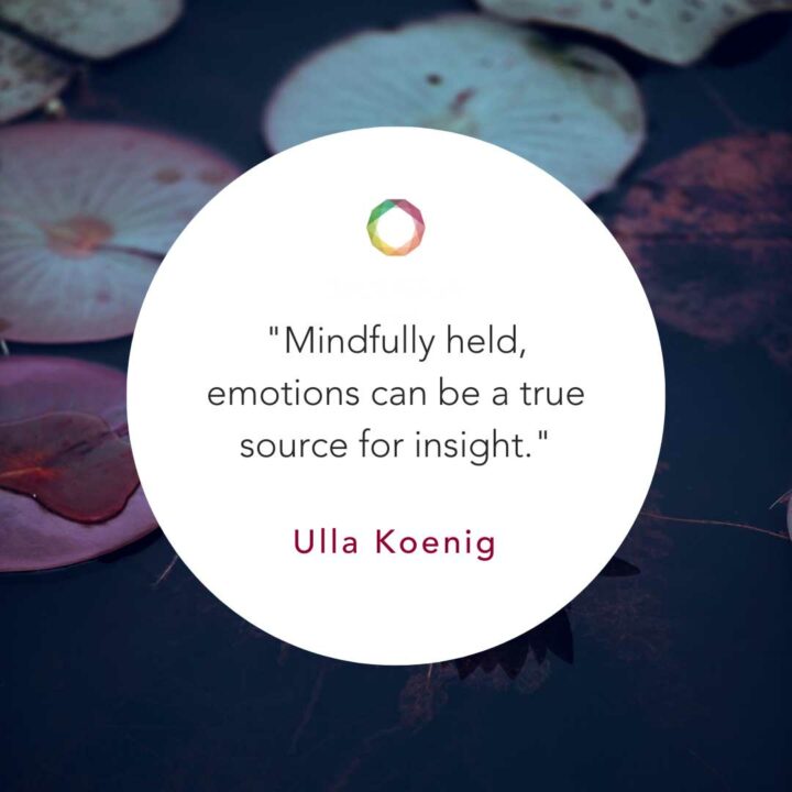 Meeting Our Emotions with Mindfulness