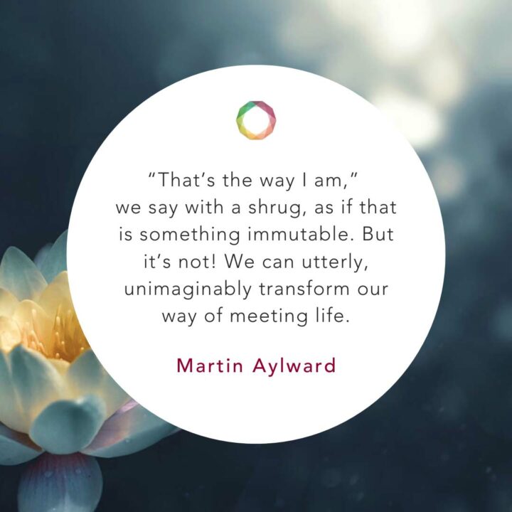 Meeting Tara Mother of all Buddhas Heart of Awakening