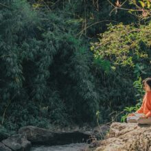 A Buddhist Response to Climate Change