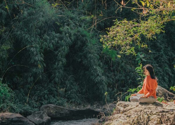 A Buddhist Response to Climate Change