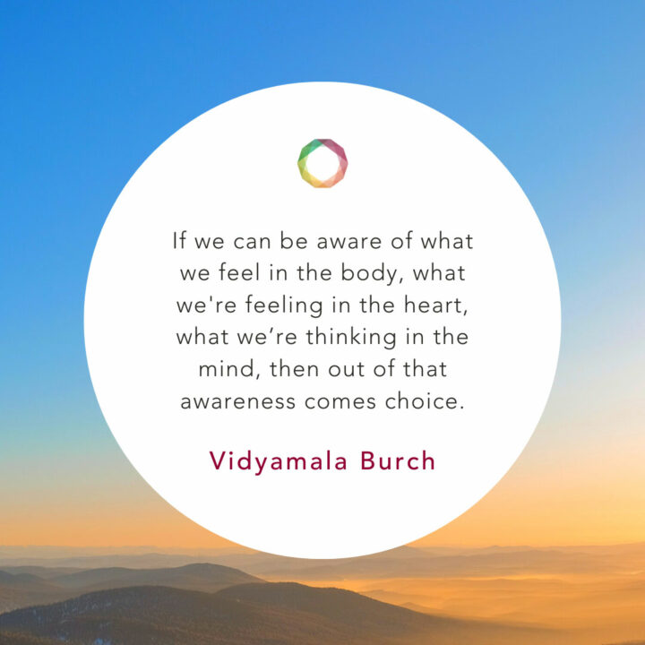 Freedom from Struggle: Practices for Living Peacefully with Pain or Illness with Vidyamala