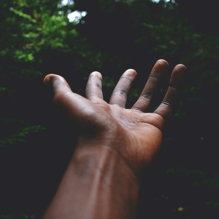 The Subtle Body with Willa Blythe Baker