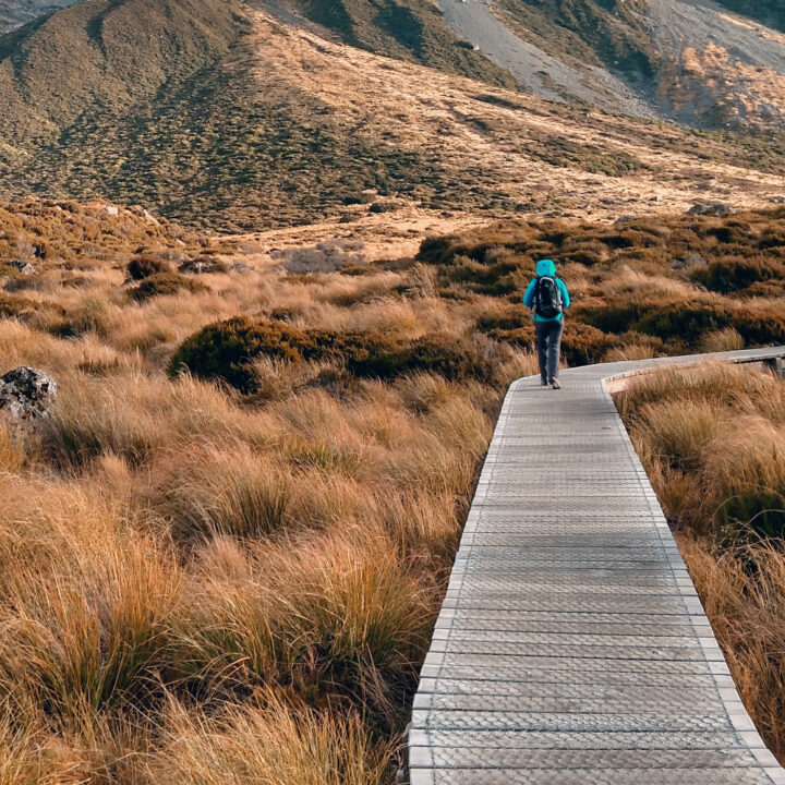 Module 4 - A Mindful Path