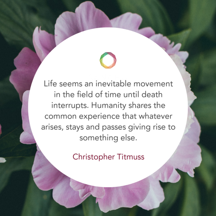 Dying and Death - Christopher Titmuss