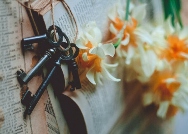 Dhammas: The 3 Keys to Insight Meditation