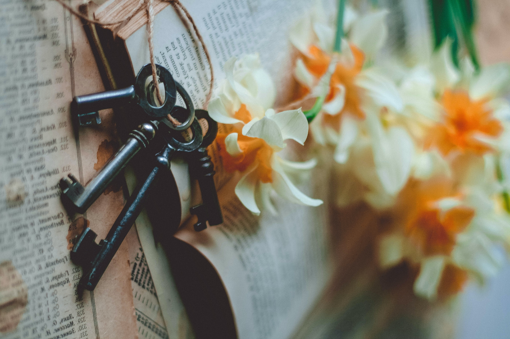 Dhammas: The 3 Keys to Insight Meditation