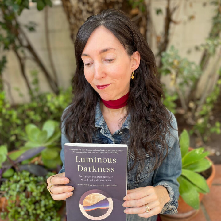 Deborah Eden Tull - Luminous Darkness: The Power of Embracing the Unknown