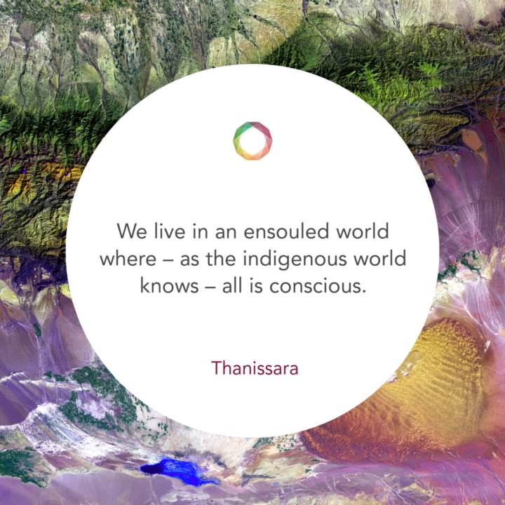 Day of Practice - Thanissara - Nov 09, 2024