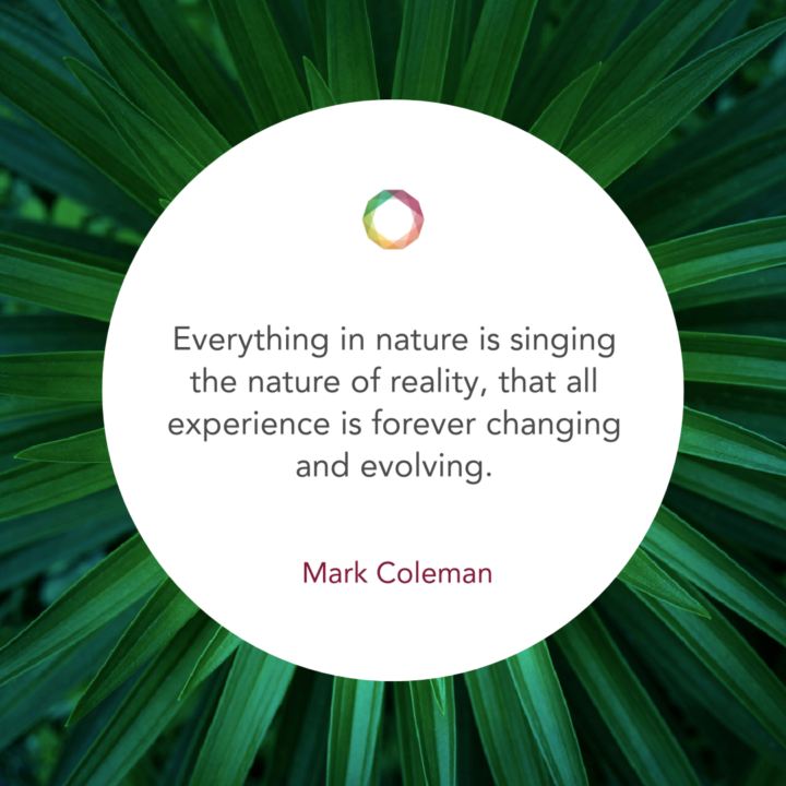 Earth as Refuge, Earth as Teacher: Cultivating Resilience, Regeneration and Realization - Mark Coleman