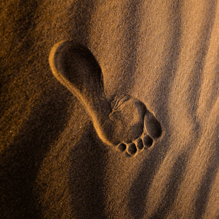 Earth as Refuge, Earth as Teacher - Attuning to Our Elemental Nature