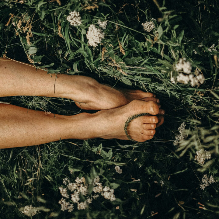 Earth as Refuge, Earth as Teacher - Natural Awareness